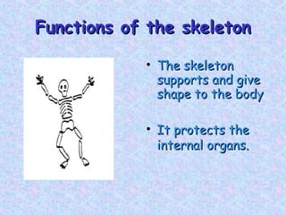 Functions of the skeletonFunctions of the skeleton
• The skeletonThe skeleton
supports and givesupports and give
shape to the bodyshape to the body
• It protects theIt protects the
internal organs.internal organs.
