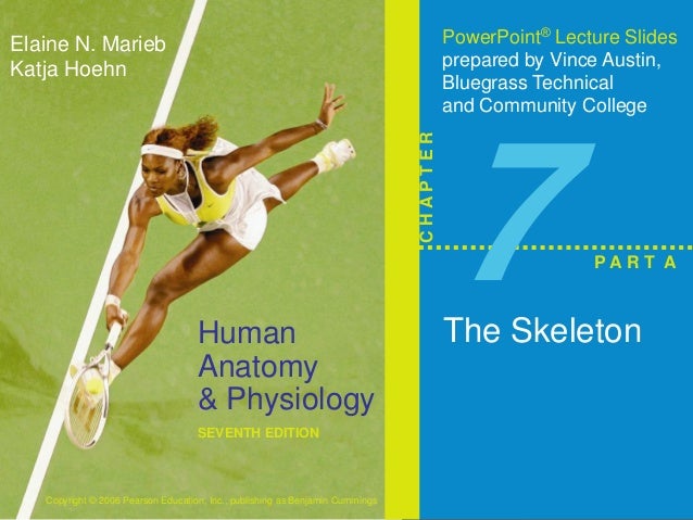 Skeletal System