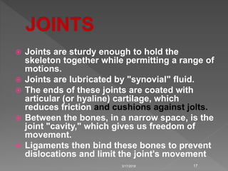  Joints are sturdy enough to hold the
skeleton together while permitting a range of
motions.
 Joints are lubricated by "synovial" fluid.
 The ends of these joints are coated with
articular (or hyaline) cartilage, which
reduces friction and cushions against jolts.
 Between the bones, in a narrow space, is the
joint "cavity," which gives us freedom of
movement.
 Ligaments then bind these bones to prevent
dislocations and limit the joint's movement
3/17/2018 17
 