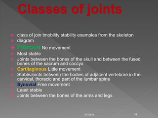  class of join tmobility stability examples from the skeleton
 diagram
 Fibrous No movement
 Most stable
 Joints between the bones of the skull and between the fused
bones of the sacrum and coccyx
 Cartilaginous Little movement
 StableJoints between the bodies of adjacent vertebrae in the
cervical, thoracic and part of the lumbar spine
 Synovial Free movement
 Least stable
 Joints between the bones of the arms and legs
3/17/2018 18
 