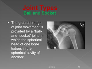 3/17/2018 19
Joint Types
Ball and Socket
• The greatest range
of joint movement is
provided by a "ball-
and- socket" joint, in
which the spherical
head of one bone
lodges in the
spherical cavity of
another
 