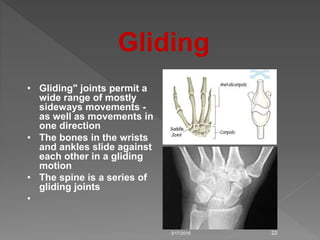 3/17/2018 22
Gliding
• Gliding" joints permit a
wide range of mostly
sideways movements -
as well as movements in
one direction
• The bones in the wrists
and ankles slide against
each other in a gliding
motion
• The spine is a series of
gliding joints
•
 