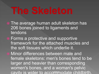  The average human adult skeleton has
206 bones joined to ligaments and
tendons
 Forms a protective and supportive
framework for the attached muscles and
the soft tissues which underlie it.
 Minor differences between male and
female skeletons: men's bones tend to be
larger and heavier than corresponding
women's bones, and a woman's pelvic
3/17/2018 3
 