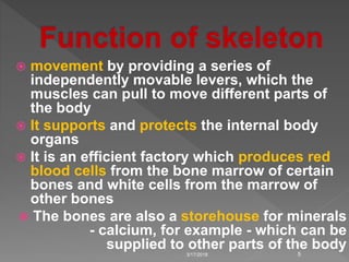  movement by providing a series of
independently movable levers, which the
muscles can pull to move different parts of
the body
 It supports and protects the internal body
organs
 It is an efficient factory which produces red
blood cells from the bone marrow of certain
bones and white cells from the marrow of
other bones
 The bones are also a storehouse for minerals
- calcium, for example - which can be
supplied to other parts of the body
3/17/2018 5
 