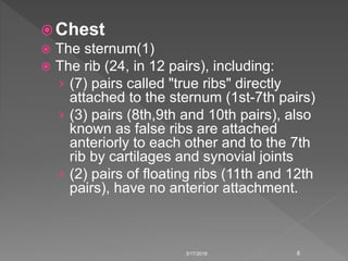 Chest
 The sternum(1)
 The rib (24, in 12 pairs), including:
› (7) pairs called "true ribs" directly
attached to the sternum (1st-7th pairs)
› (3) pairs (8th,9th and 10th pairs), also
known as false ribs are attached
anteriorly to each other and to the 7th
rib by cartilages and synovial joints
› (2) pairs of floating ribs (11th and 12th
pairs), have no anterior attachment.
3/17/2018 8
 
