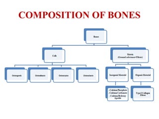 COMPOSITION OF BONES
 