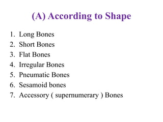 (A) According to Shape
1. Long Bones
2. Short Bones
3. Flat Bones
4. Irregular Bones
5. Pneumatic Bones
6. Sesamoid bones
7. Accessory ( supernumerary ) Bones
 