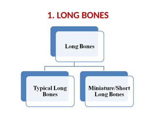 1. LONG BONES
 