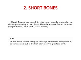 2. SHORT BONES
 