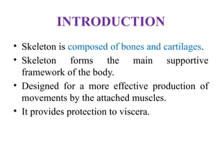 INTRODUCTION
• Skeleton is composed of bones and cartilages.
• Skeleton forms the main supportive
framework of the body.
• Designed for a more effective production of
movements by the attached muscles.
• It provides protection to viscera.
 