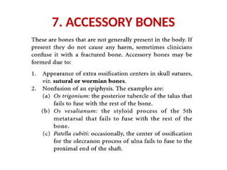 7. ACCESSORY BONES
 