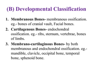 (B) Developmental Classification
1. Membranous Bones- membranous ossification.
eg.- bones of cranial vault, Facial bones.
2. Cartilagenous Bones- endochondral
ossification. eg.- ribs, sternum, vertebrae, bones
of limbs.
3. Membrano-cartilaginous Bones- by both
membranous and endochondral ossification. eg.-
mandible, clavicle, occipital bone, temporal
bone, sphenoid bone.
 