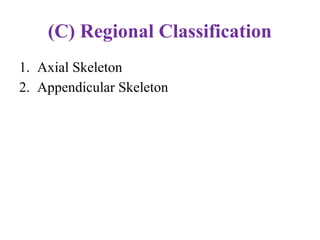 (C) Regional Classification
1. Axial Skeleton
2. Appendicular Skeleton
 