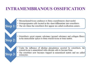 INTRAMEMBRANOUS OSSIFICATION
 