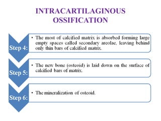 INTRACARTILAGINOUS
OSSIFICATION
 