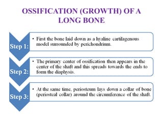 OSSIFICATION (GROWTH) OF A
LONG BONE
 