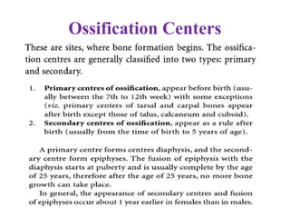 Ossification Centers
 