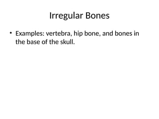 Comprehensive Overview of Human Skeletal System and Bone Structure | PPTX