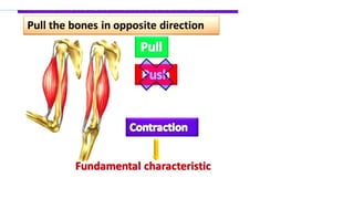 Skeleton and movement complete for all classespptx | PPTX