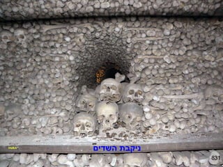 831 ניקבת השדים 