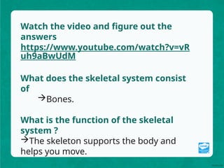 Skeleton PPT.pptx Grade 4 Science Lesson | PPTX