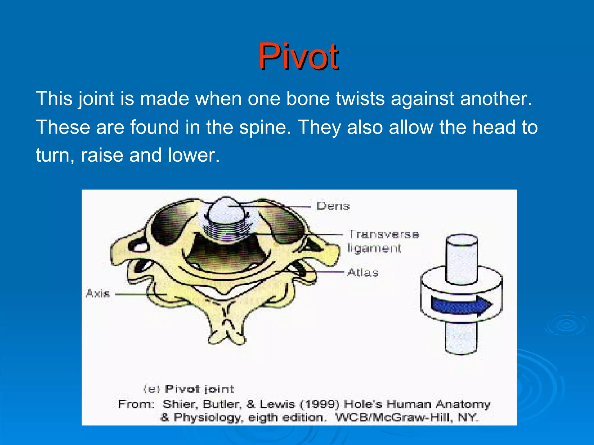 Pivot This joint is made when one bone twists against another.  These are found in the spine. They also allow the head to  turn, raise and lower.   