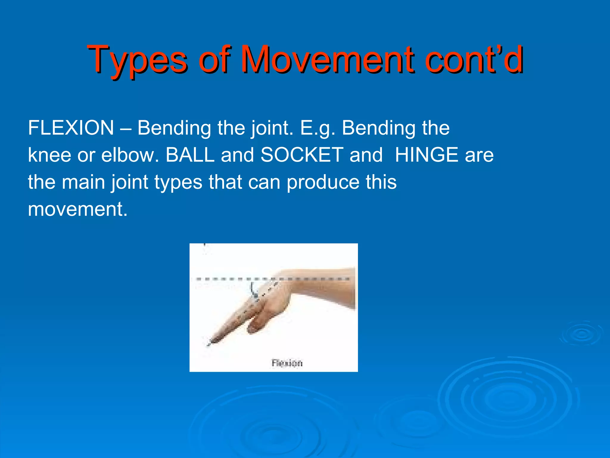 Types of Movement cont’d FLEXION – Bending the joint. E.g. Bending the  knee or elbow. BALL and SOCKET and  HINGE are  the main joint types that can produce this  movement. 