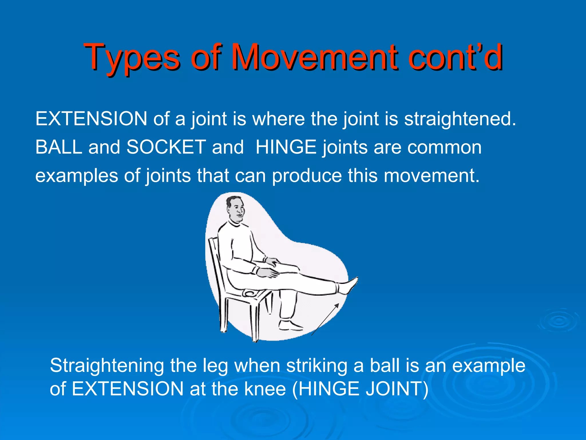 Types of Movement cont’d EXTENSION of a joint is where the joint is straightened.  BALL and SOCKET and  HINGE joints are common  examples of joints that can produce this movement. Straightening the leg when striking a ball is an example of EXTENSION at the knee (HINGE JOINT) 
