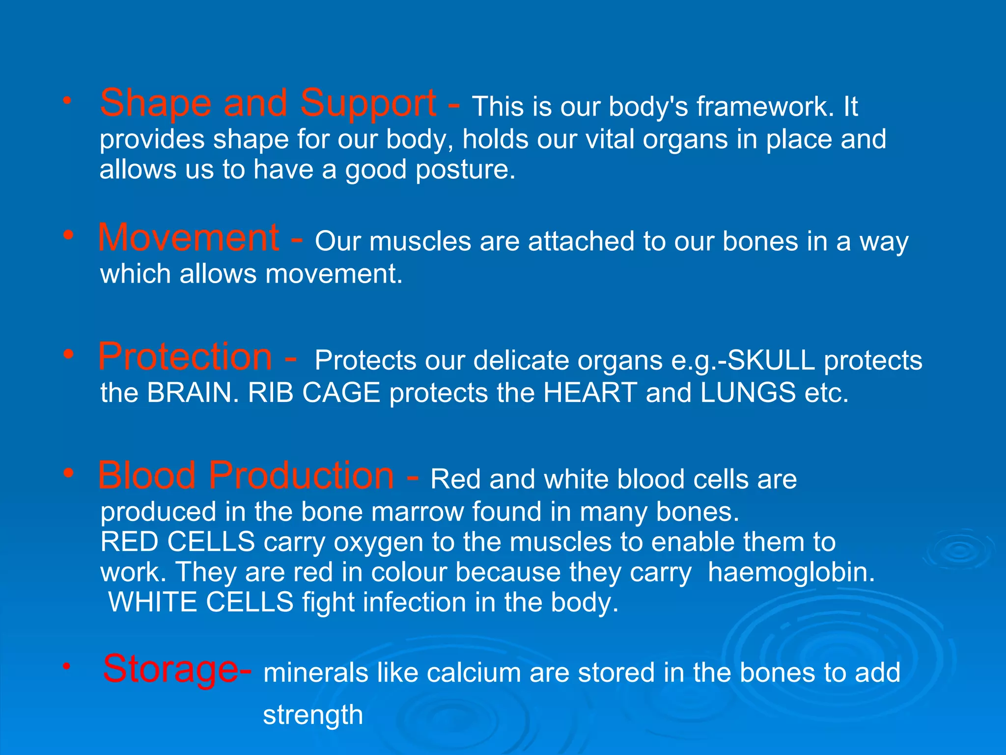 Shape and Support -  This is our body's framework. It provides shape for our body, holds our vital organs in place and allows us to have a good posture. Movement -  Our muscles are attached to our bones in a way  which allows movement.  Protection -  Protects our delicate organs e.g.-SKULL protects  the BRAIN. RIB CAGE protects the HEART and LUNGS etc.  Blood Production -  Red and white blood cells are  produced in the bone marrow found in many bones. RED CELLS carry oxygen to the muscles to enable them to  work. They are red in colour because they carry  haemoglobin.  WHITE CELLS fight infection in the body.  Storage-  minerals like calcium are stored in the bones to add  strength   