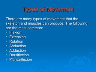 Skeleton ppt aw | PPT