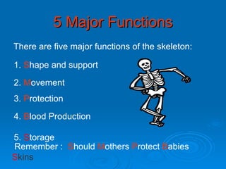5 Major Functions There are five major functions of the skeleton: Remember   :  S hould  M others  P rotect  B abies  S kins 1.  S hape and support 2.  M ovement 3.  P rotection 4.  B lood Production 5.  S torage 