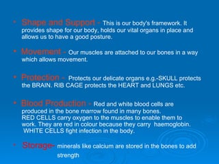 Shape and Support -  This is our body's framework. It provides shape for our body, holds our vital organs in place and allows us to have a good posture. Movement -  Our muscles are attached to our bones in a way  which allows movement.  Protection -  Protects our delicate organs e.g.-SKULL protects  the BRAIN. RIB CAGE protects the HEART and LUNGS etc.  Blood Production -  Red and white blood cells are  produced in the bone marrow found in many bones. RED CELLS carry oxygen to the muscles to enable them to  work. They are red in colour because they carry  haemoglobin.  WHITE CELLS fight infection in the body.  Storage-  minerals like calcium are stored in the bones to add  strength   