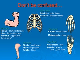 Don’t be confused… The Foot   Metatarsals -  foot   T arsals -  ankle   –think “ T”   for “toes” The Hand   Carpals -  wrist bones   Metacarpals  – hand  The Chest   Clavicle –  collar   bone Scapula –  shoulder blade   The Leg   Fibula -  small lower   Tibia -  large lower   Patella -  knee   The Arm   Radius -  thumb side lower   Ulna -  finger side lower   Humerus -  upper   arm – “funny bone” 