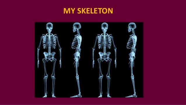 skeleton-powerpoint