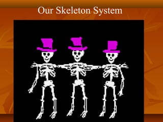Our Skeleton System
 