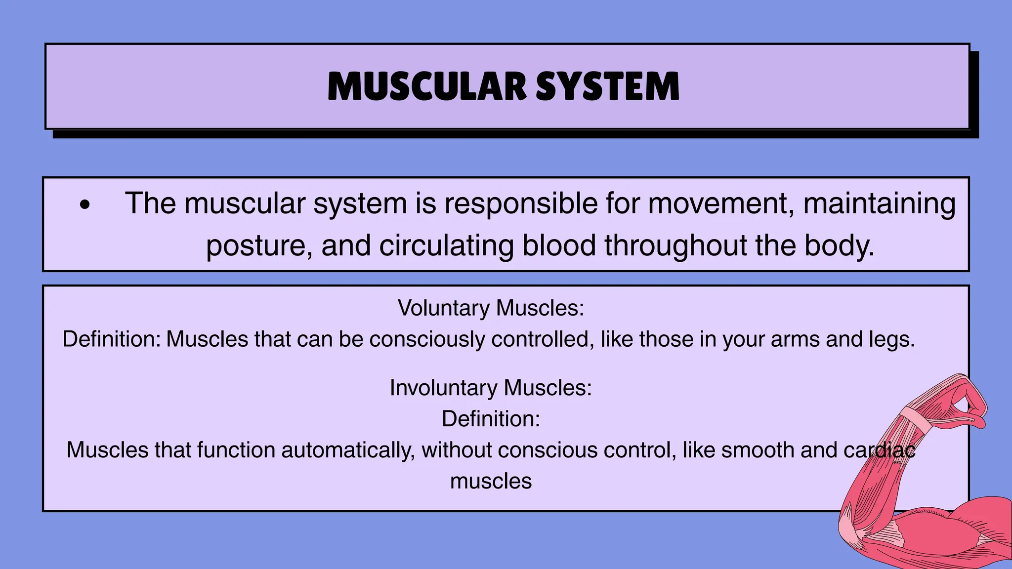 MUSCULAR SYSTEM
The muscular system is responsible for movement, maintaining
posture, and circulating blood throughout the body.
Voluntary Muscles:
Definition: Muscles that can be consciously controlled, like those in your arms and legs.
Involuntary Muscles:
Definition:
Muscles that function automatically, without conscious control, like smooth and cardiac
muscles
 