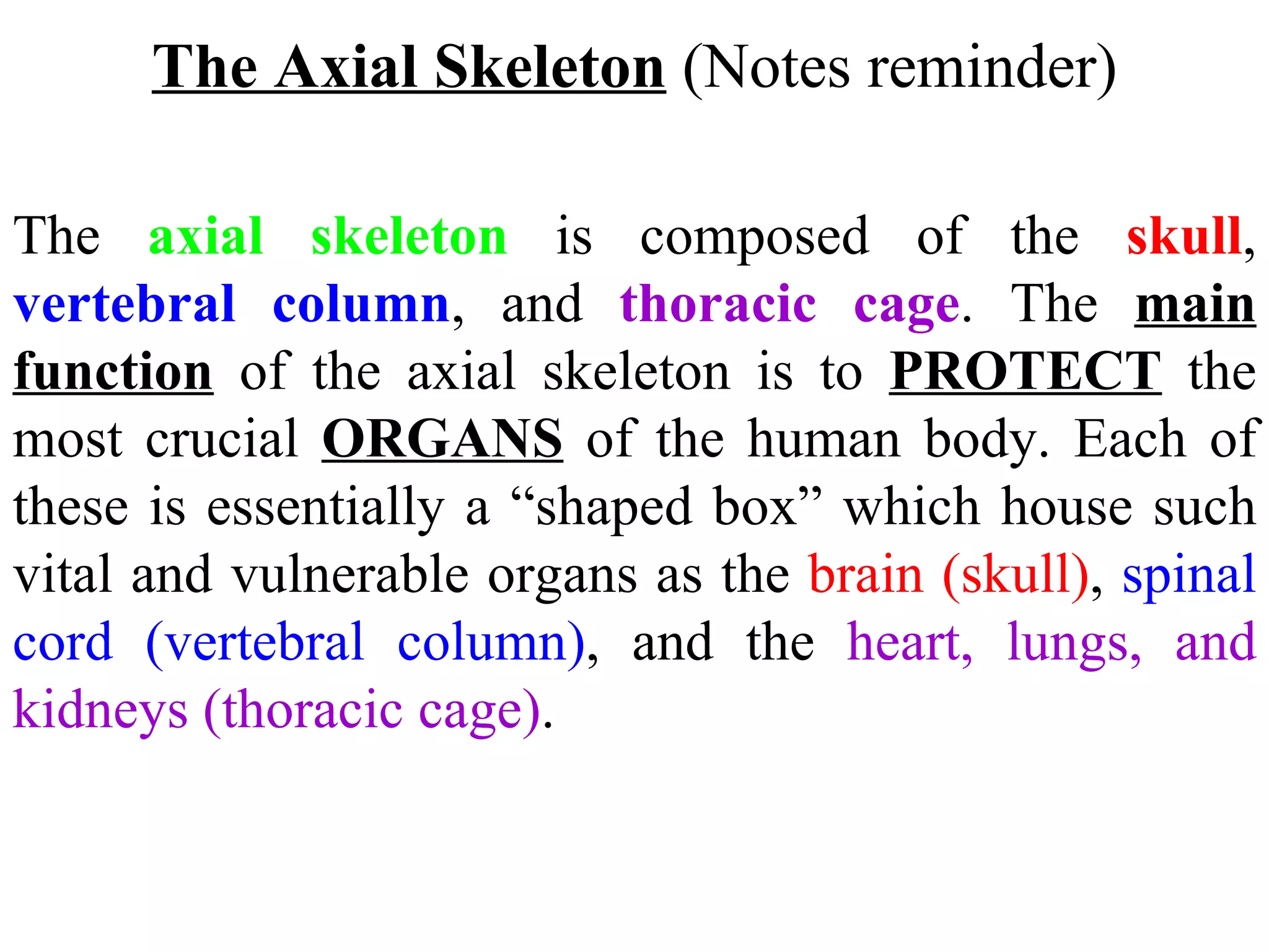 The  axial skeleton  is composed of the  skull ,  vertebral column , and  thoracic cage . The  main   function  of the axial skeleton is to  PROTECT  the most crucial  ORGANS  of the human body. Each of these is essentially a “shaped box” which house such vital and vulnerable organs as the  brain (skull) ,  spinal cord (vertebral column) , and the  heart, lungs, and kidneys (thoracic cage) . The Axial Skeleton  (Notes reminder) 