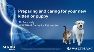 This document and the information it contains are confidential and the property of Mars Incorporated. They may not in
any way be disclosed, copied or used by anyone except when expressly authorised by Mars Inc. ©Mars 2016
Preparing and caring for your new
kitten or puppy
Dr Sara Kelly
WALTHAM Centre for Pet Nutrition
 
