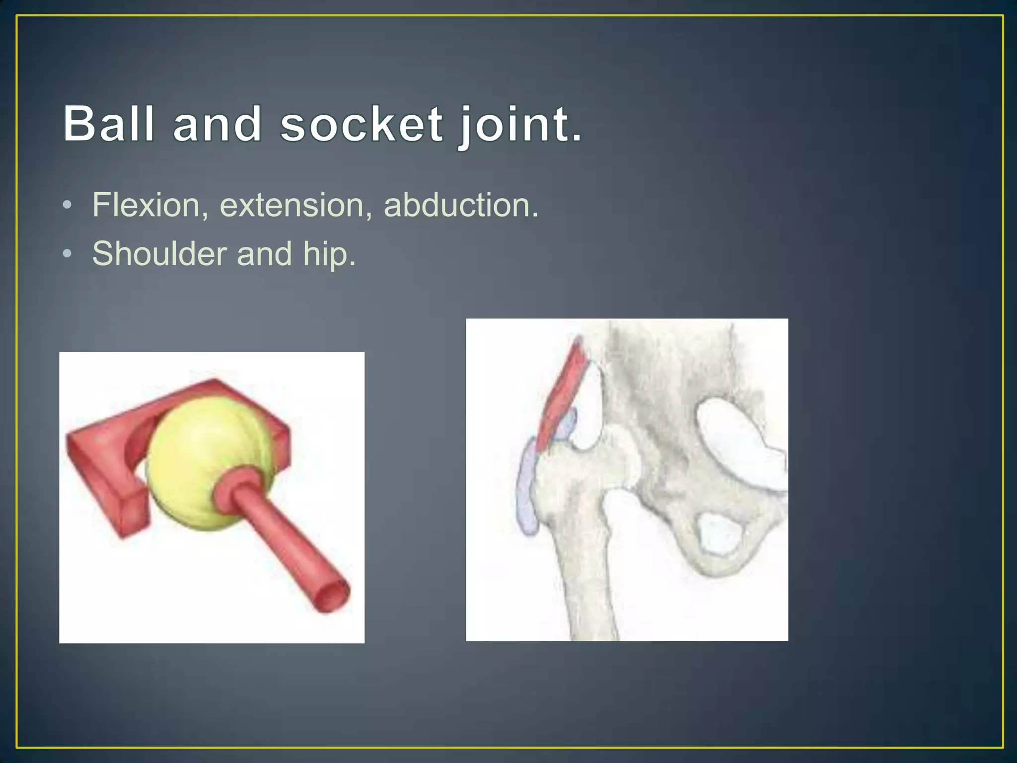 • Flexion, extension, abduction.
• Shoulder and hip.
 