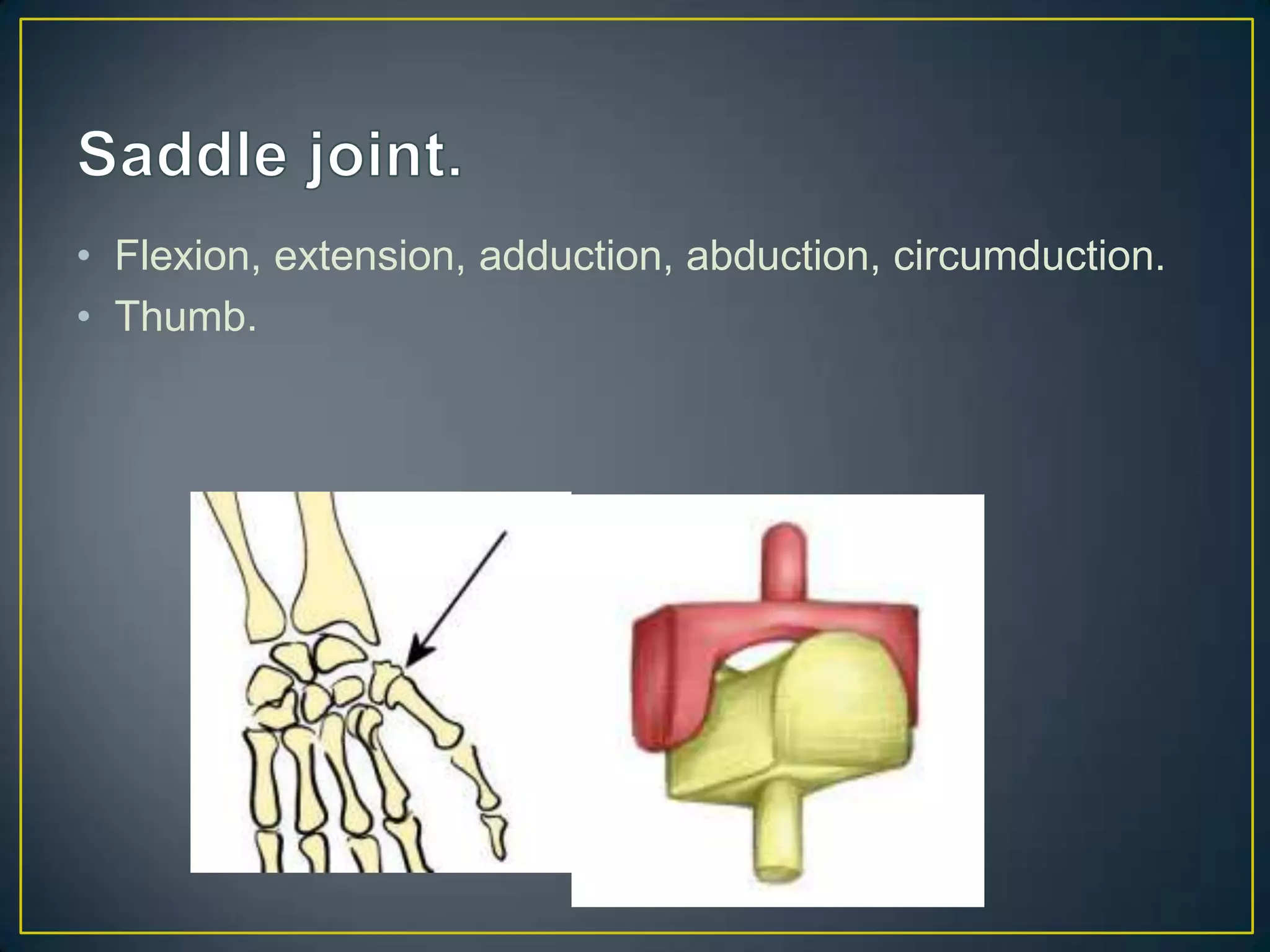 • Flexion, extension, adduction, abduction, circumduction.
• Thumb.
 