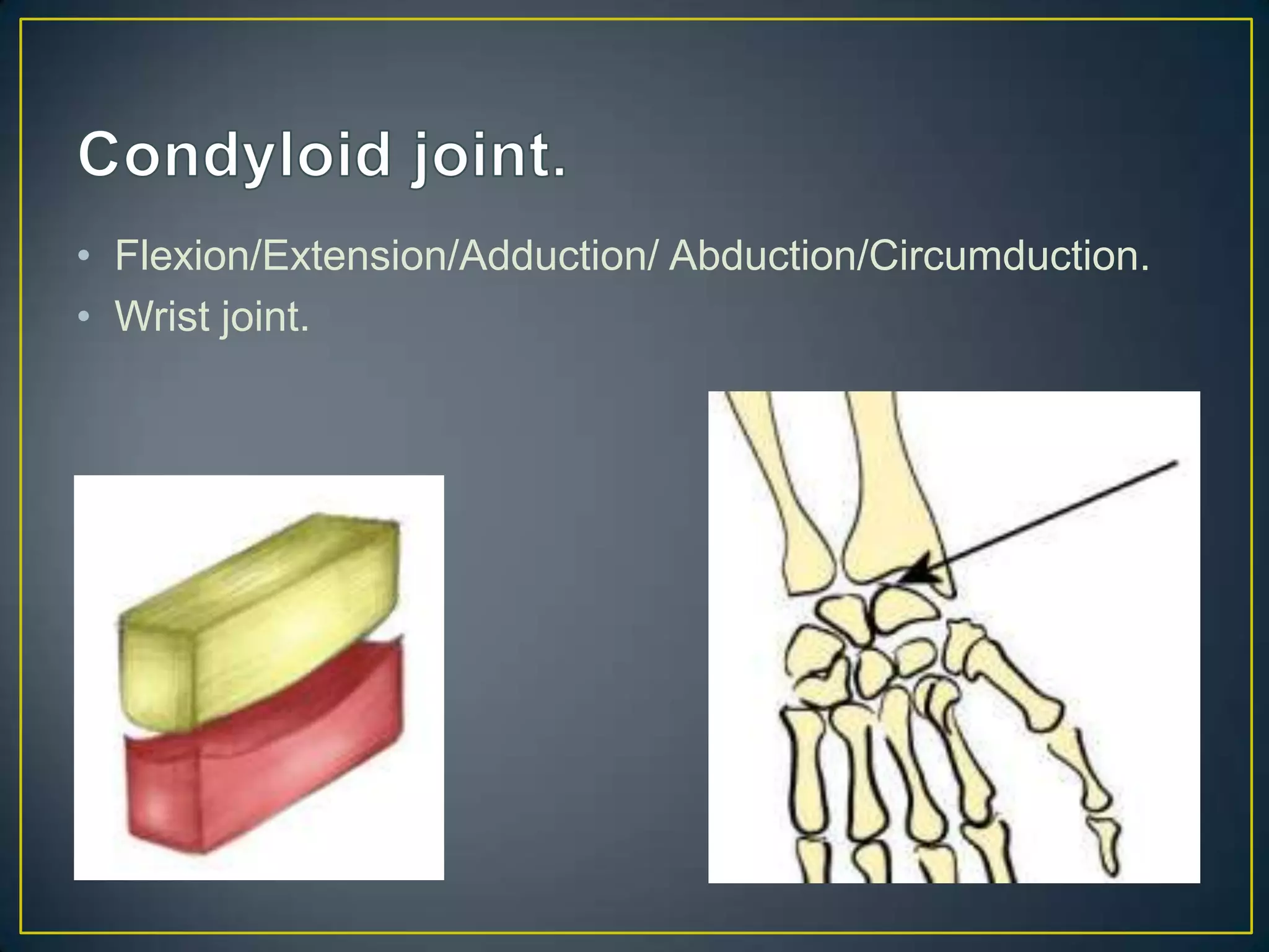• Flexion/Extension/Adduction/ Abduction/Circumduction.
• Wrist joint.
 