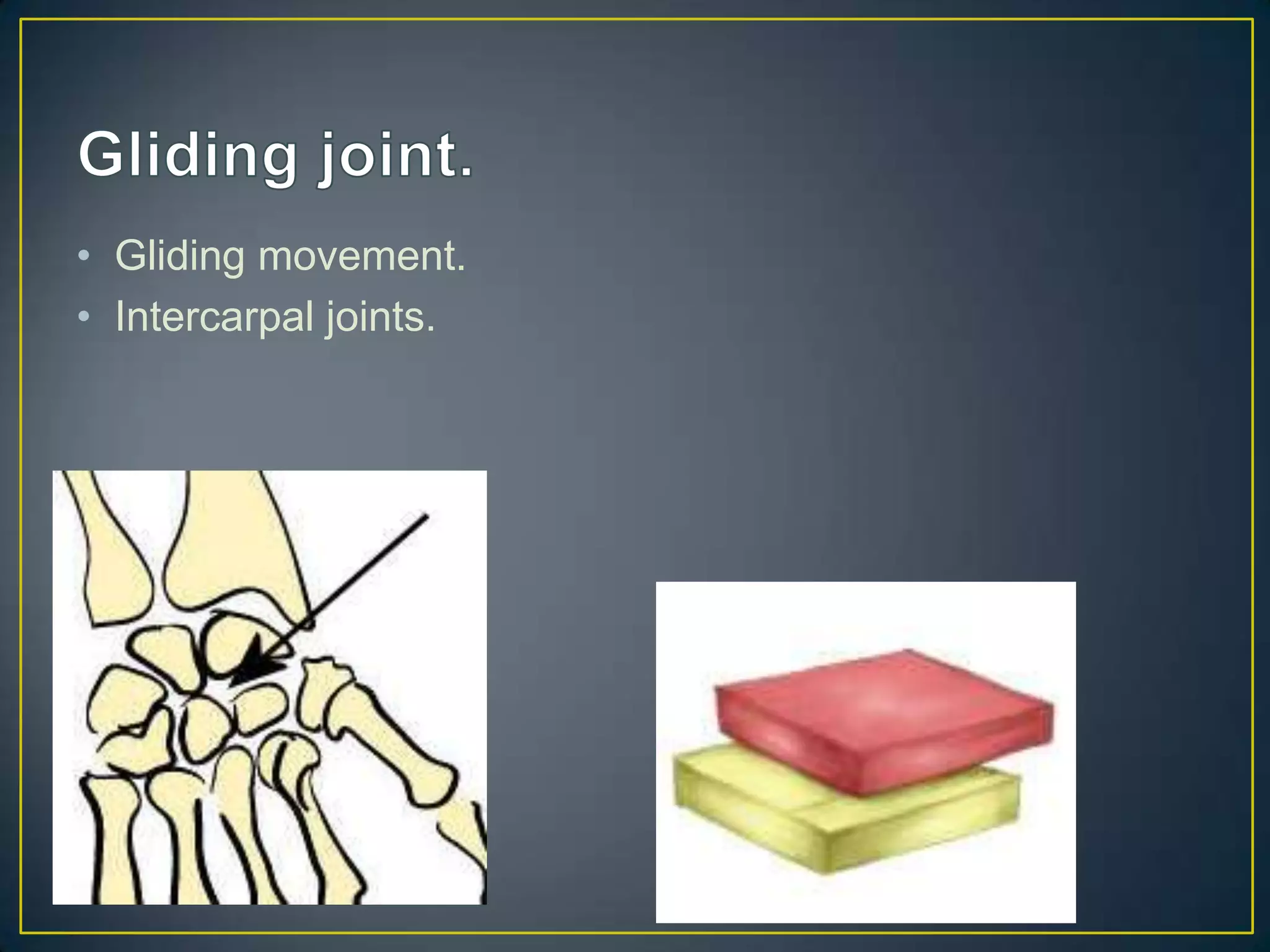 • Gliding movement.
• Intercarpal joints.
 
