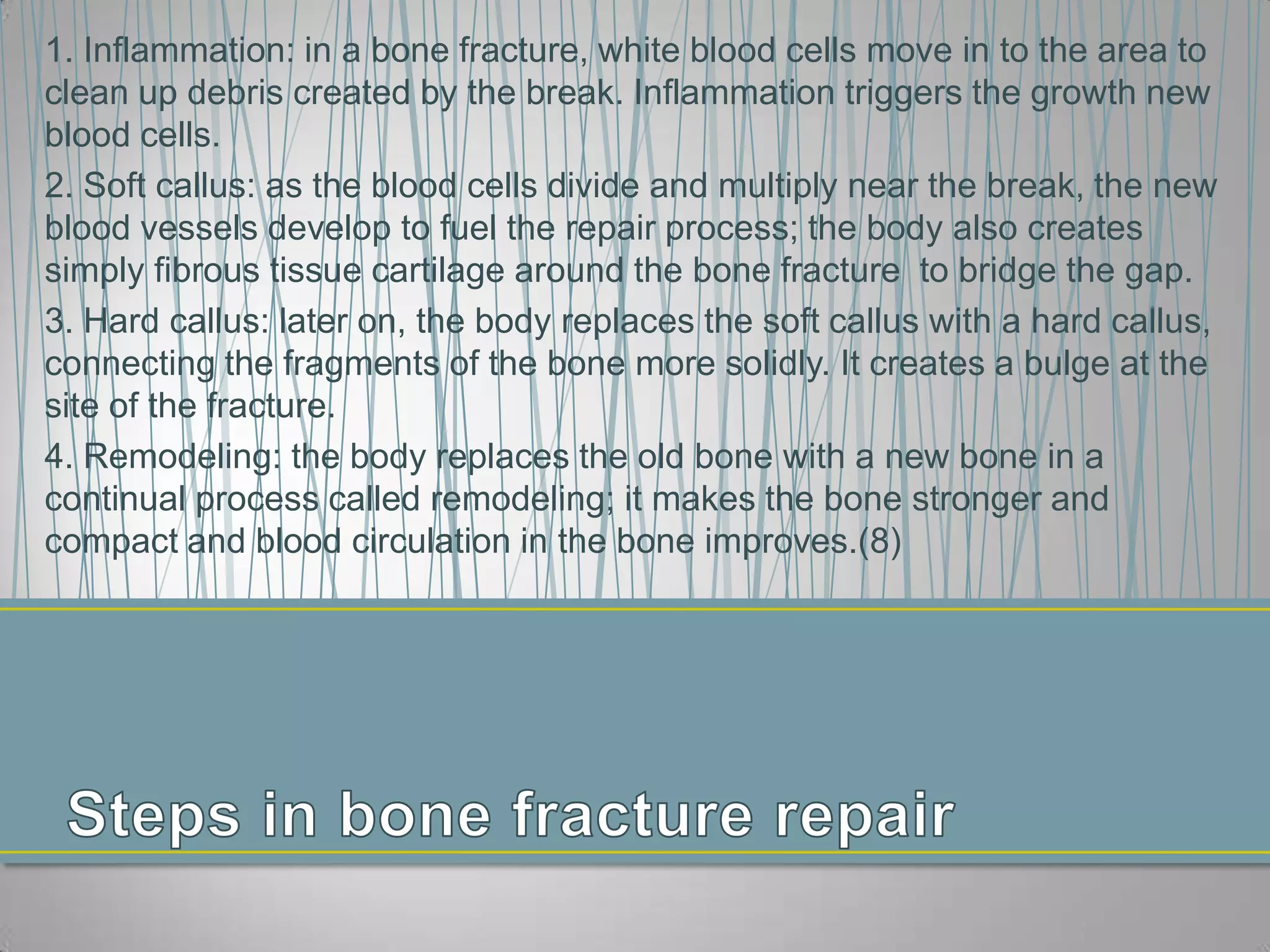 1. Inflammation: in a bone fracture, white blood cells move in to the area to
clean up debris created by the break. Inflammation triggers the growth new
blood cells.
2. Soft callus: as the blood cells divide and multiply near the break, the new
blood vessels develop to fuel the repair process; the body also creates
simply fibrous tissue cartilage around the bone fracture to bridge the gap.
3. Hard callus: later on, the body replaces the soft callus with a hard callus,
connecting the fragments of the bone more solidly. It creates a bulge at the
site of the fracture.
4. Remodeling: the body replaces the old bone with a new bone in a
continual process called remodeling; it makes the bone stronger and
compact and blood circulation in the bone improves.(8)
 