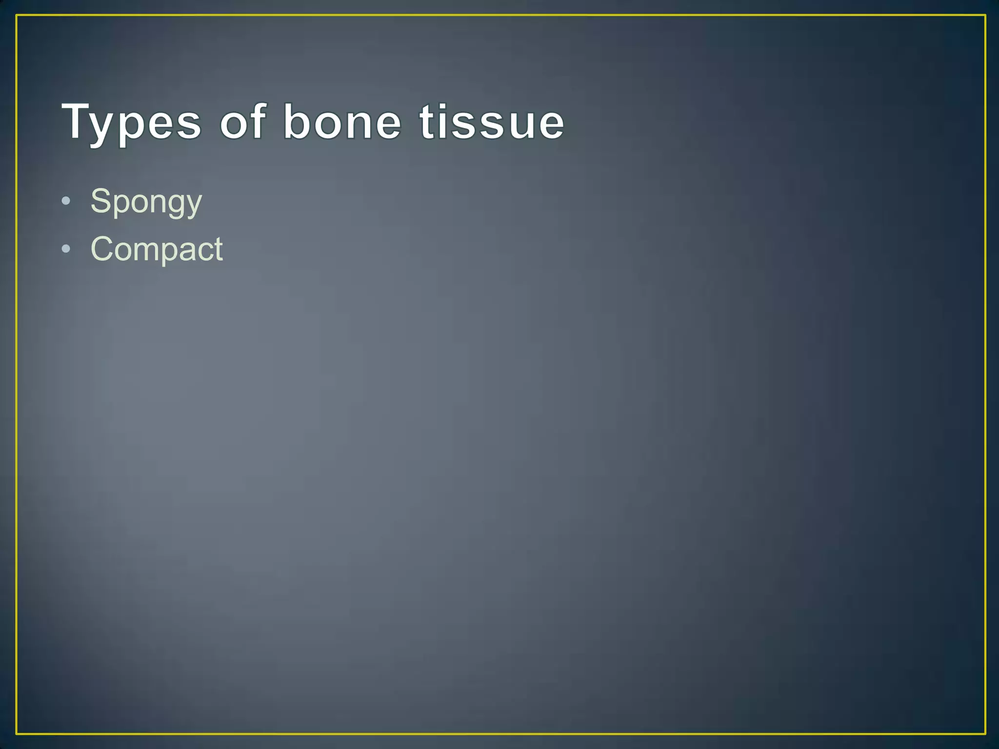 • Spongy
• Compact
 