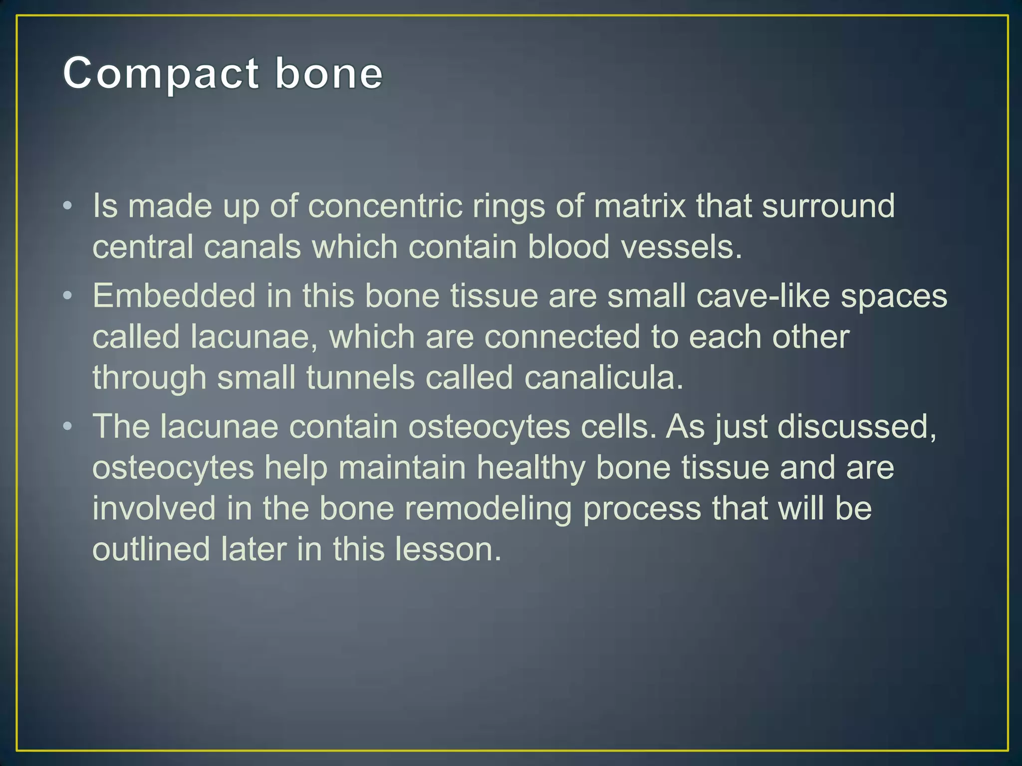 • Is made up of concentric rings of matrix that surround
  central canals which contain blood vessels.
• Embedded in this bone tissue are small cave-like spaces
  called lacunae, which are connected to each other
  through small tunnels called canalicula.
• The lacunae contain osteocytes cells. As just discussed,
  osteocytes help maintain healthy bone tissue and are
  involved in the bone remodeling process that will be
  outlined later in this lesson.
 