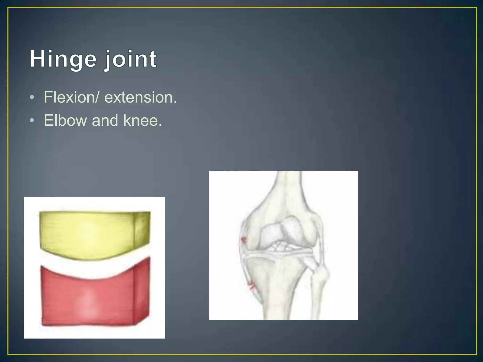 • Flexion/ extension.
• Elbow and knee.
 