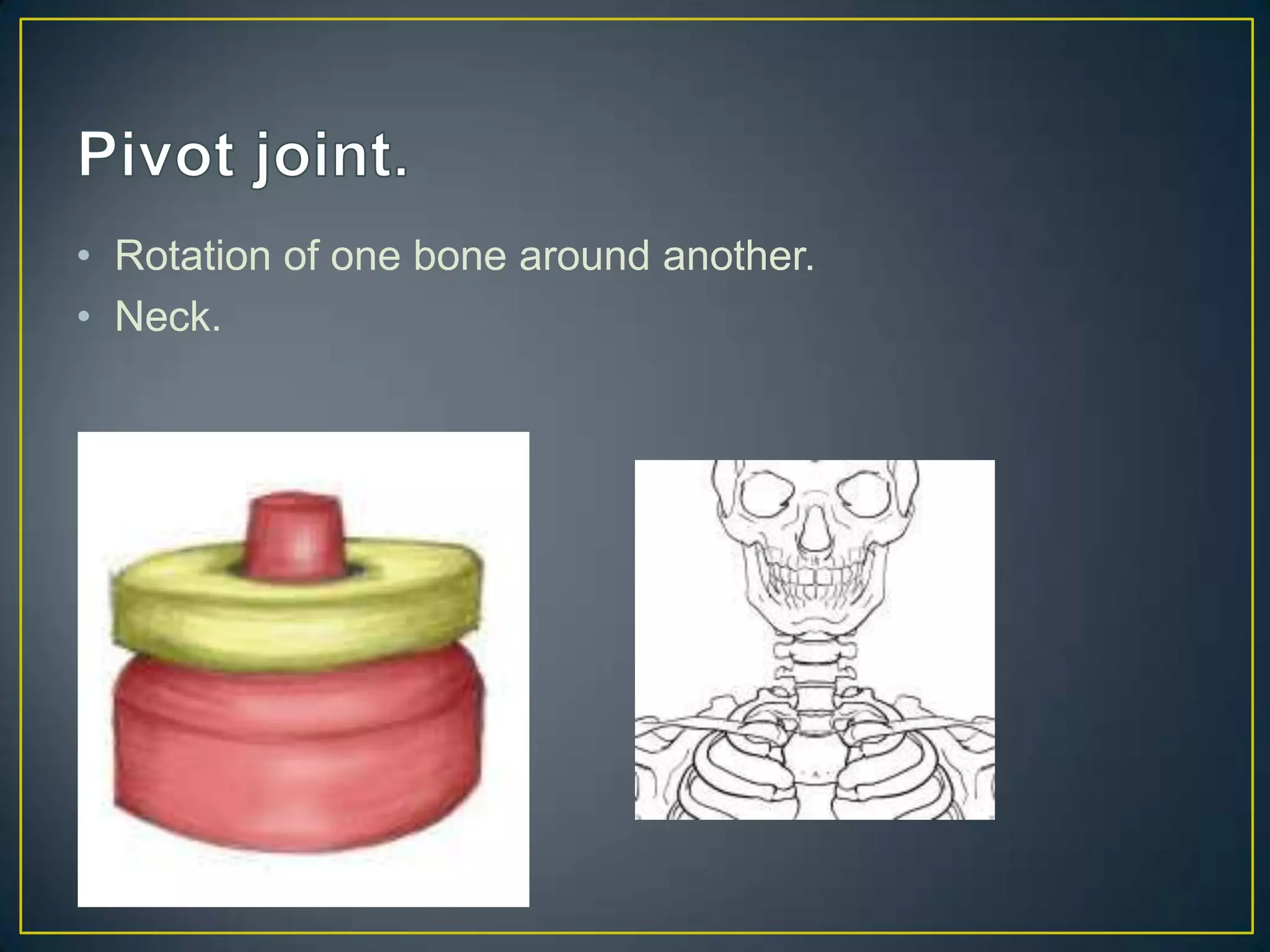 • Rotation of one bone around another.
• Neck.
 