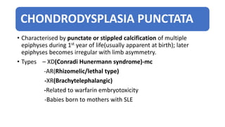 CHONDRODYSPLASIA PUNCTATA
• Characterised by punctate or stippled calcification of multiple
epiphyses during 1st year of life(usually apparent at birth); later
epiphyses becomes irregular with limb asymmetry.
• Types – XD(Conradi Hunermann syndrome)-mc
-AR(Rhizomelic/lethal type)
-XR(Brachytelephalangic)
-Related to warfarin embryotoxicity
-Babies born to mothers with SLE
 