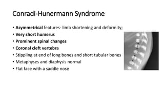 Conradi-Hunermann Syndrome
• Asymmetrical features- limb shortening and deformity;
• Very short humerus
• Prominent spinal changes
• Coronal cleft vertebra
• Stippling at end of long bones and short tubular bones
• Metaphyses and diaphysis normal
• Flat face with a saddle nose
 