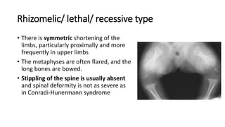 Rhizomelic/ lethal/ recessive type
• There is symmetric shortening of the
limbs, particularly proximally and more
frequently in upper limbs
• The metaphyses are often flared, and the
long bones are bowed.
• Stippling of the spine is usually absent
and spinal deformity is not as severe as
in Conradi-Hunermann syndrome
 